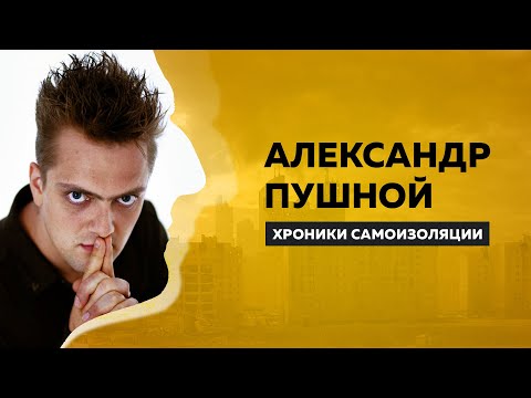 ХРОНИКИ САМОИЗОЛЯЦИИ: Александр Пушной об отношении к хейтерам, учёбе в НГУ & "Галилео"