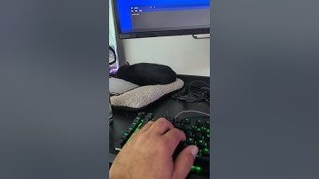 Razer BlackWidow V4 Pro Mechanical Keyboard - Key Double registering key presses and Razer