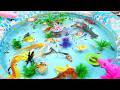 Un-boxing a variety of colorful aquarium fish,koi,glow-in-the-dark fish,betta fish#viralvideos#viral
