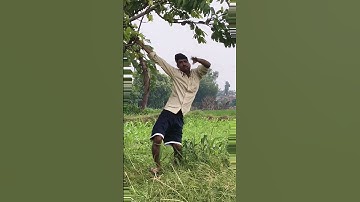 Try Not To Laugh Challenge104 😂 | KIND REACT | #kindreact@satyarox494