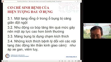 Đau Bụng Cấp-Ths.BsCKII Kha Hữu Nhân