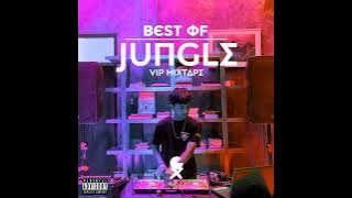 Download lagu VIP MIXTAPE // BEST OF JUNGLE 2023 // BECAK PARTY