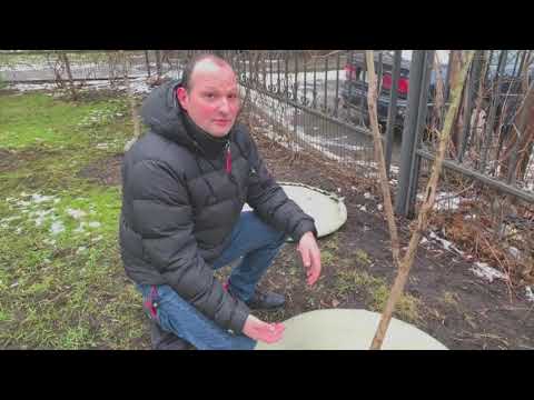 Приствольный круг для