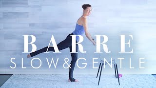 Senior & Beginner Workout - Slow and Gentle Barre