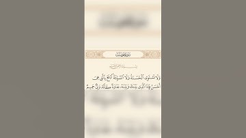 سورة فصلت (ولا تستوي الحسنة و لا السيئة)