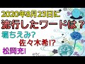 【佐々木希?松岡充!etc...】流行した、話題になったワードとは??【2020年8月23日】