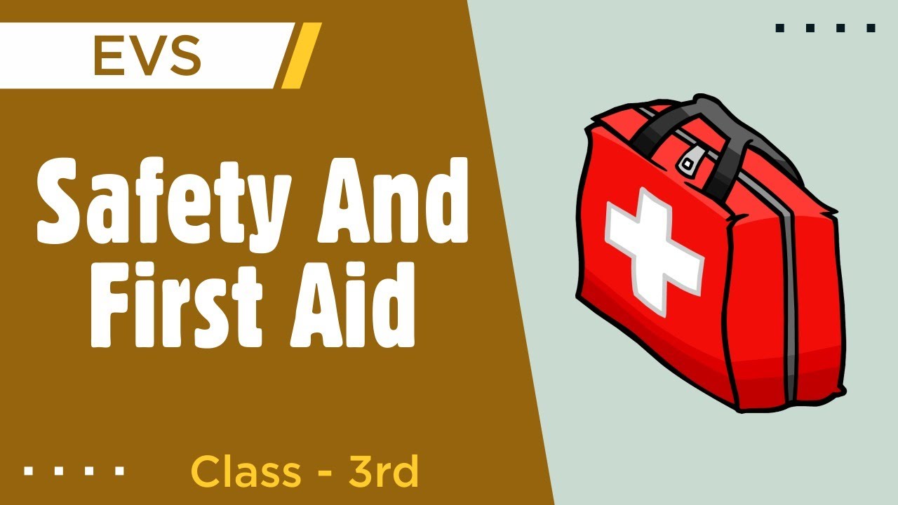 EVS | Safety Rules and First Aid - YouTube
