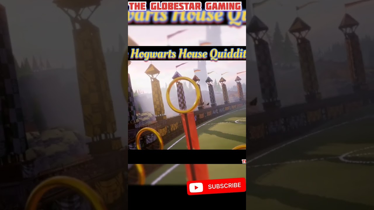 Harry Potter Quidditch Champion |The Hogwarts House Quidditch Cup 