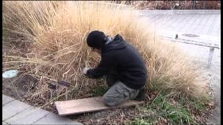 Winter Pruning with Paul Zammit