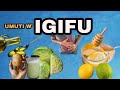 UMUTI W’IGIFU