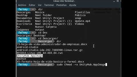 COMO AGREGAR PERMISOS DE EJECUCIÓN A UN ARCHIVO O PROGRAMA EN LINUX