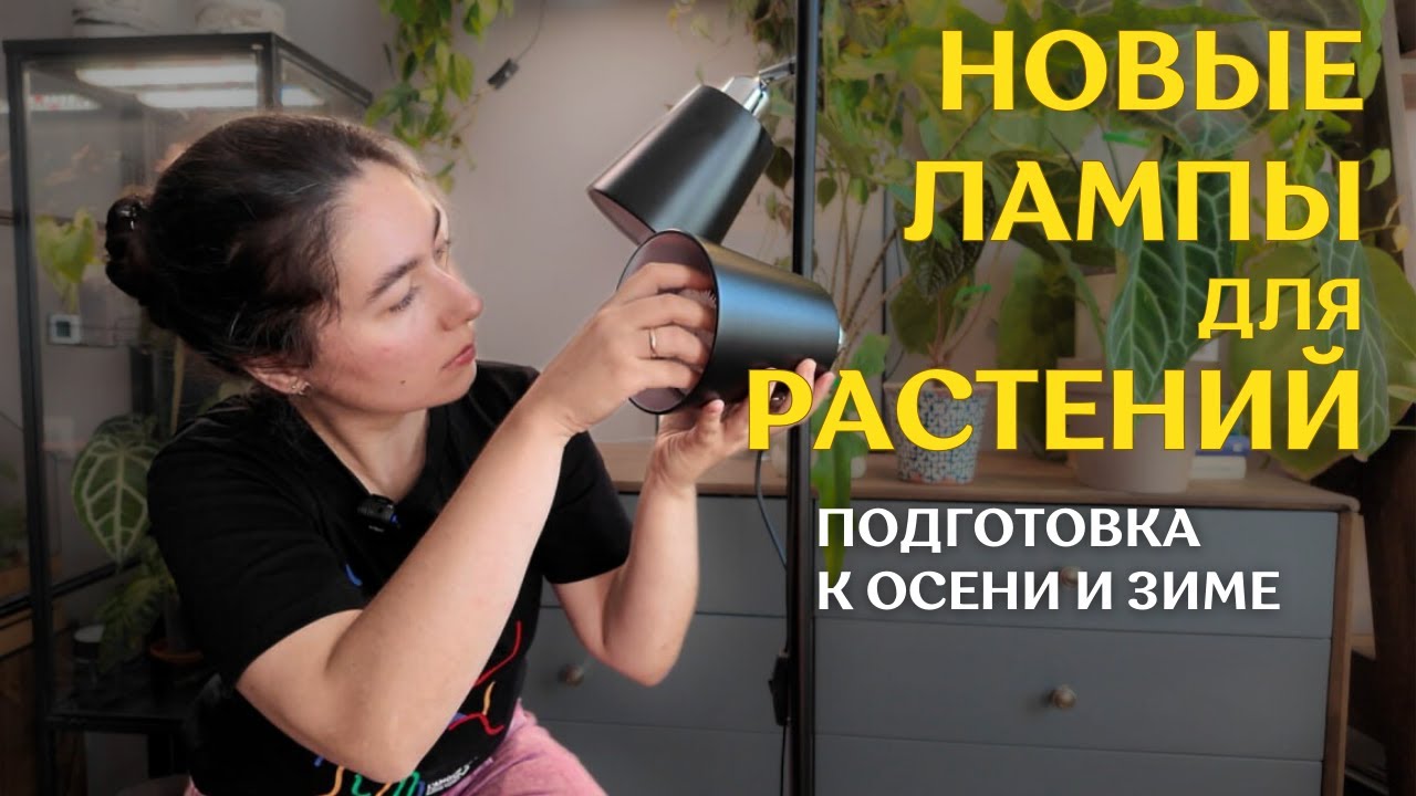 ГОТОВЛЮ растения к ОСЕНИ | ПЕРЕСТАНОВКА, новая ДОСВЕТКА для РАСТЕНИЙ и переукоренение АЛОКАЗИЙ 🌿