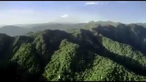 تلاوة تدخلك إلى عالم مختلف (شهر رمضان الذي أنزل فيه القرآن (للشيخ القارئ عمير شميم)