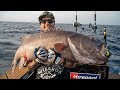 HOW TO: TARGET HAPUKU, BLUENOSE, GROUPER & BASS