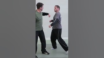 Vladimir Vasiliev - Systema - Combat System