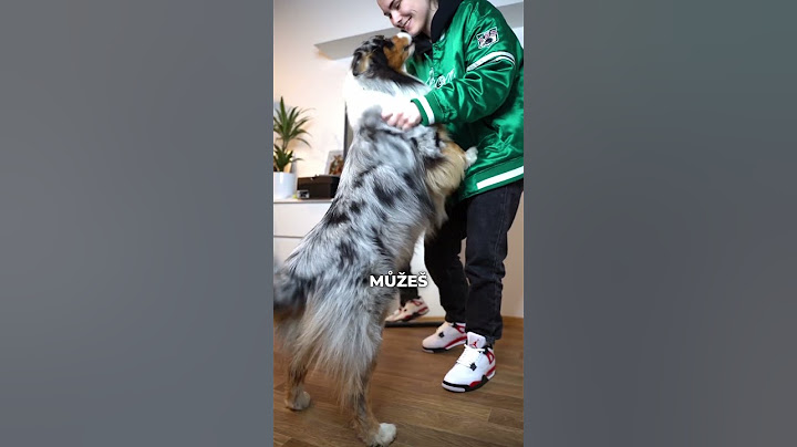 Jsi tým JORDAN 4, AIR FORCE nebo JORDAN 1? 🏀👀 #fyp #czech #trending #viral #obleceni #sneakers #fy
