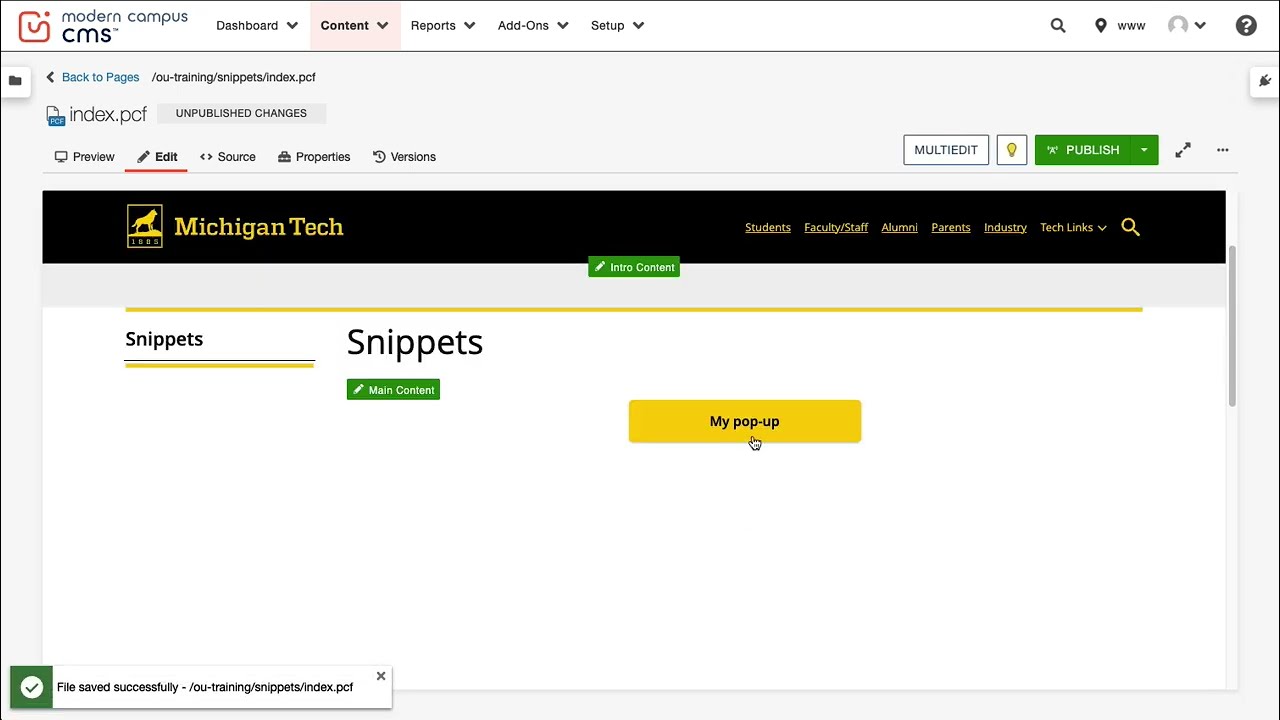 Preview image for Pop-up Text Snippet video