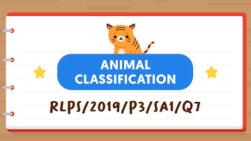 PSLE SCIENCE MADE SIMPLE EP87 | Animal Classification | Analysing Flowcharts ↔️
