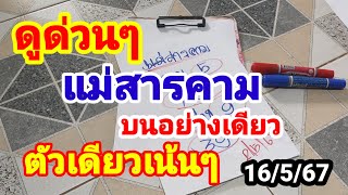 ดูด่วนๆแม่สารคาม#บนอย่างเดียว#ตัวเดียวเน้นๆ#16 พฤษภาคม 2567