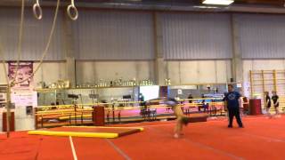 Dennis Goossens - Arabian Double Pike - Floor