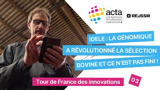 Idele La Génomique A Révolutionné La Sélection Bovine Et Ce Nest Pas Fini