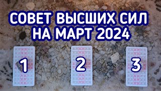 Совет Высших сил на МАРТ 2024 | 3 варианта | Гадание онлайн | Таро расклад | Таро терапия Души