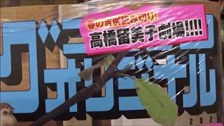 ビッグコミックオリジナル 2020年8号「高橋留美子劇場 嫌なランナー」【小学館】