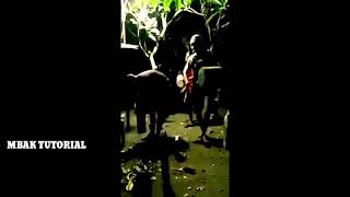 Sahur ora sahur sak karepmu - VIRAL 2019!!