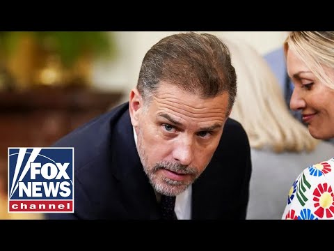 Hunter Biden doing this shows we have problems: Tammy Bruce