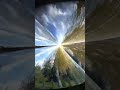 Осенний листопад