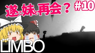 【死にゲーゆっくり実況】遂に妹と再会？ LIMBO/リンボ #10