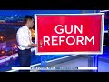 Senators reach bipartisan deal on gun reform framework