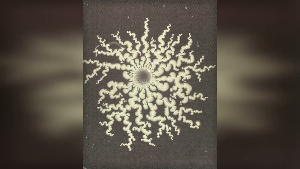 𝕻𝖔𝖗𝖙𝖆𝖑   𝕾𝖊𝖊𝖕𝖎𝖆 · 𝕺𝖚𝖙𝖗é · 𝕾𝖜𝖆𝖗𝖙𝖍   · 𝖁𝖊𝖝𝖔𝖛𝖔𝖎𝖉  · 𝕴𝖔𝖓 ·  · 𝕬𝖛𝖔𝖜