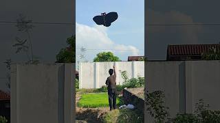 Layangan Burung Hantu Menari Di Langit