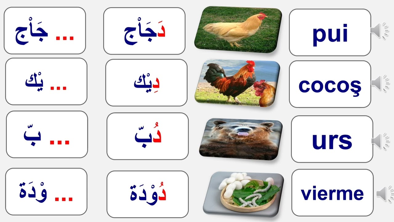 حرف الدال بالرومانية