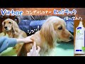 犬にヒュミラックコンディショナーの使い方を試してみた!ビルバック保湿