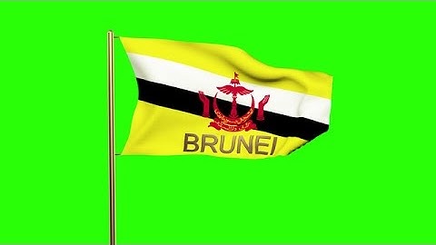 Brunei Flag With Title Waving In The Wind. Looping Sun Rises Style. Animation Lo Stock Animation