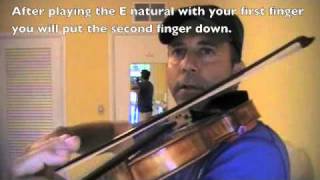 Learning notes on the violin D-string.m4v Information