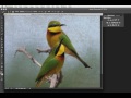 #Photoshop Workbench 441: Texture Blending Secrets