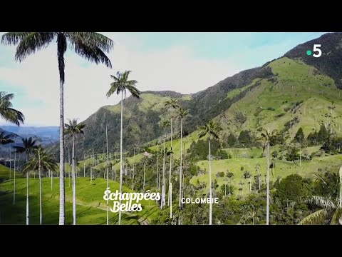 Colombie : le nouvel eldorado - Échappées belles
