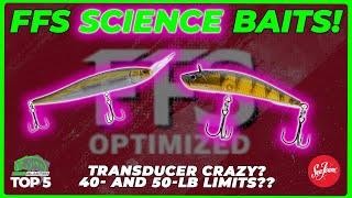 What are FFS baits? Other trend: YUGE! Electronics crazy! Top 5 in