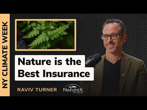 Risk Transfer Solutions for Nature - Raviv Turner (NatureX Studio)