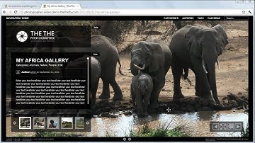 Premium WordPress Portfolio Theme - TheThe Photographer