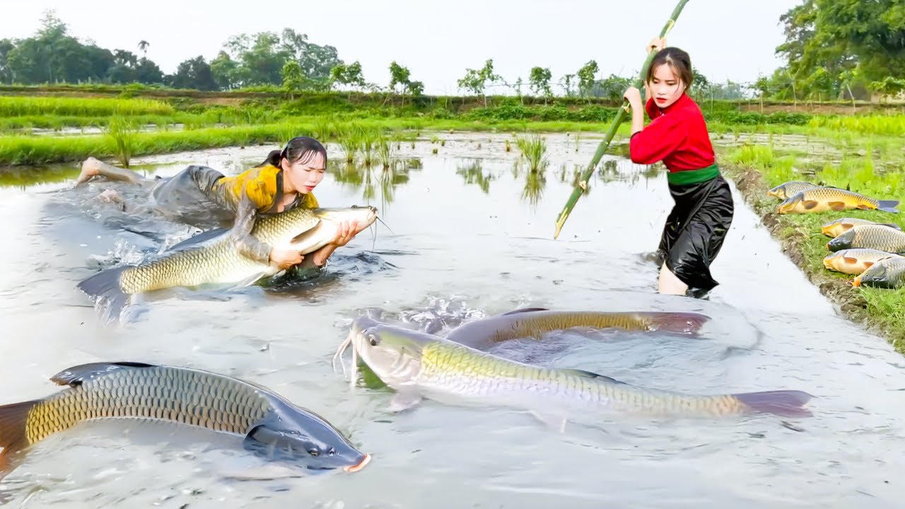 How to catch giant fish - Full video of daily life of two girls, catch ...