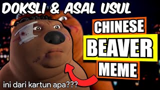 Doksli Dan Asal Usul Chinese Beaver Sad Meme...(Chinese Beaver Meme Origin Video)