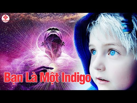 Video: Indigo Là Gì