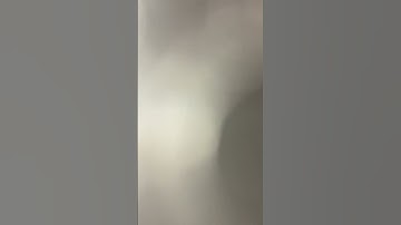 I’ll sail right home to you bass track part 2