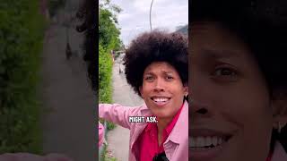 The truth behind Berlins pink pipes