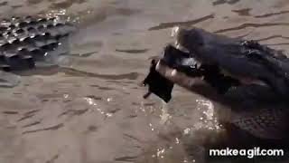 Rope Bridge Fight Indiana Jones and the Temple of Doom 1984 Movie Clip HD