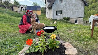 Rural life high in the mountains: cooking cabbage rolls with rice in a cauldron, peppermint tea